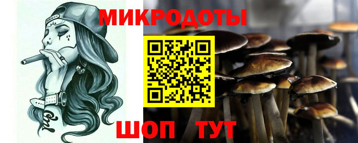 Протвино  Галлюциногенные грибы Psilocybine cubensis  Вход с VPN 